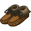 Moccasins Image