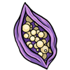 Witch Arachne Egg